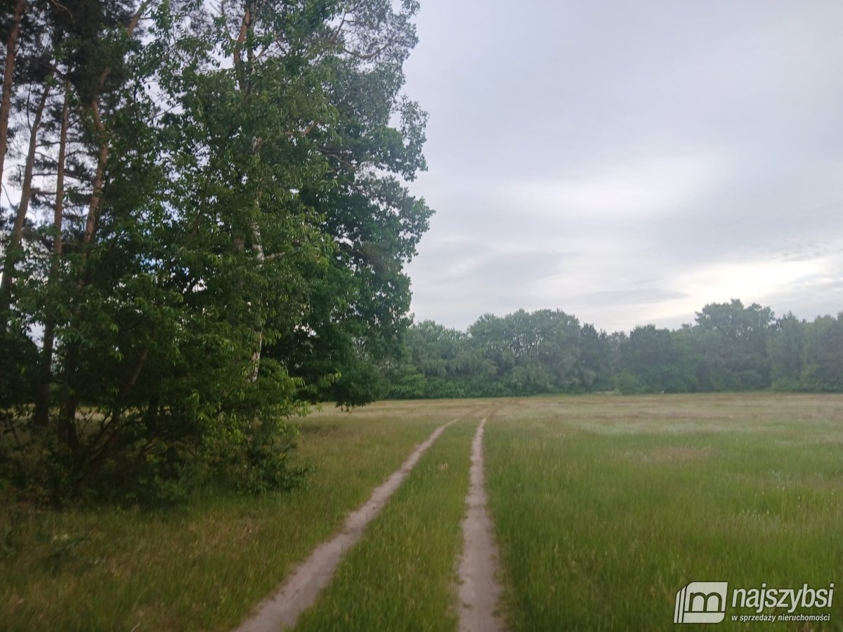 RZYSTNOWO- ziemia pod inwestycje 20,86 ha (7)
