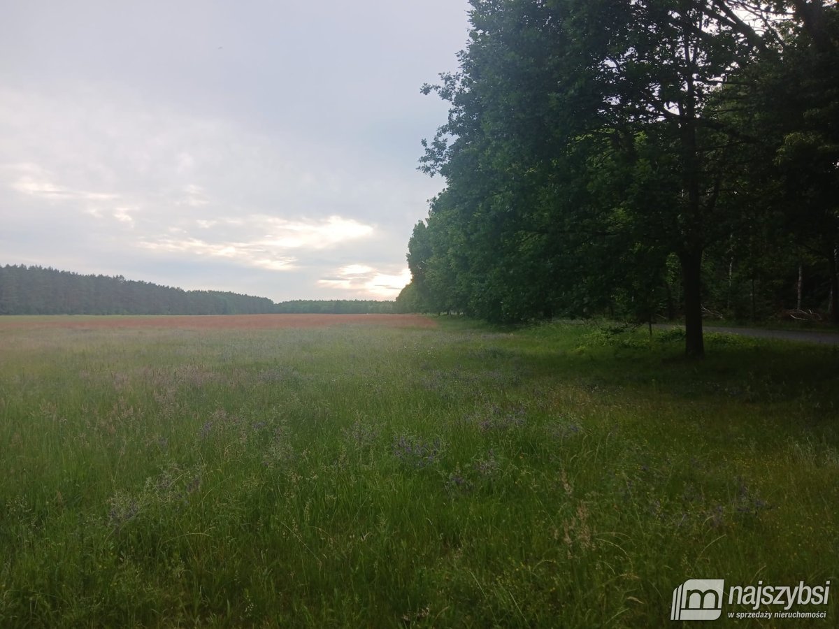 RZYSTNOWO- ziemia pod inwestycje 20,86 ha (8)