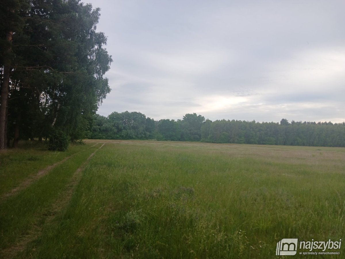 RZYSTNOWO- ziemia pod inwestycje 20,86 ha (9)