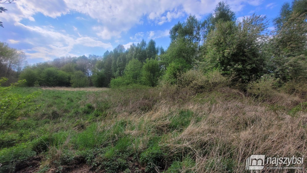 Goleniów- działka inwestycyjna 2,8834 HA (20)