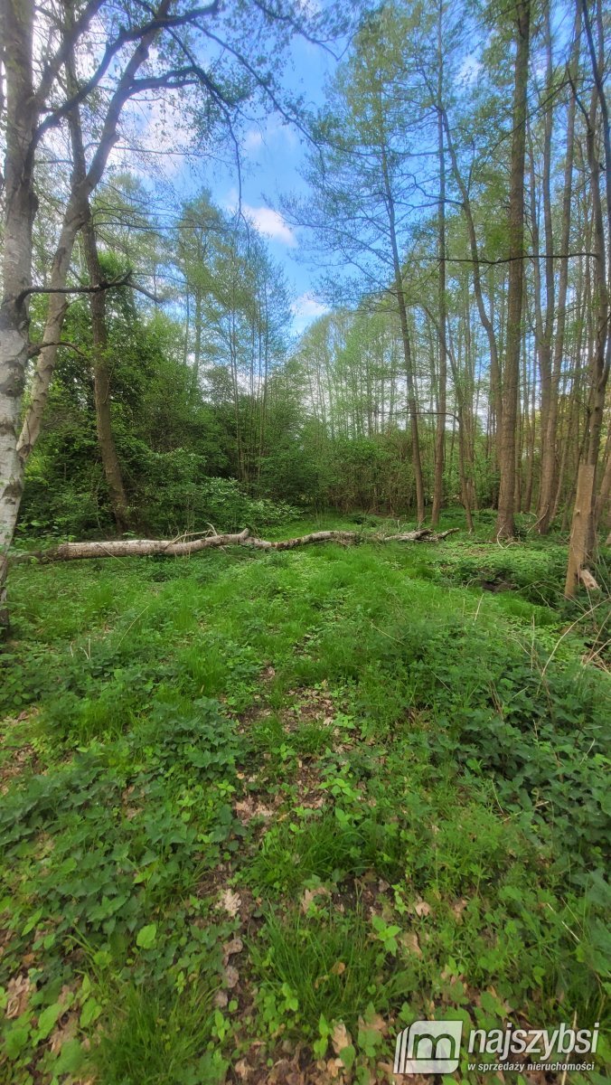 Goleniów- działka inwestycyjna 2,8834 HA (24)