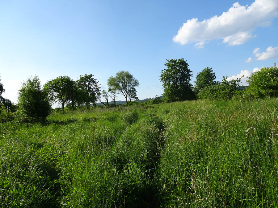 Binowo działka blisko jeziora, 1962 m2, MPZP (1)