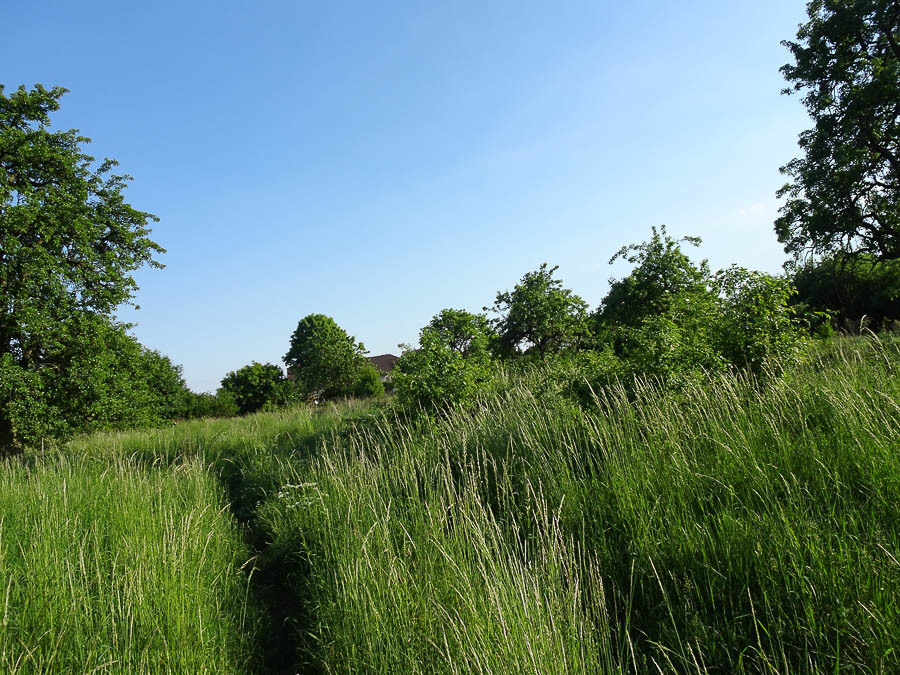Binowo działka blisko jeziora, 1962 m2, MPZP (2)
