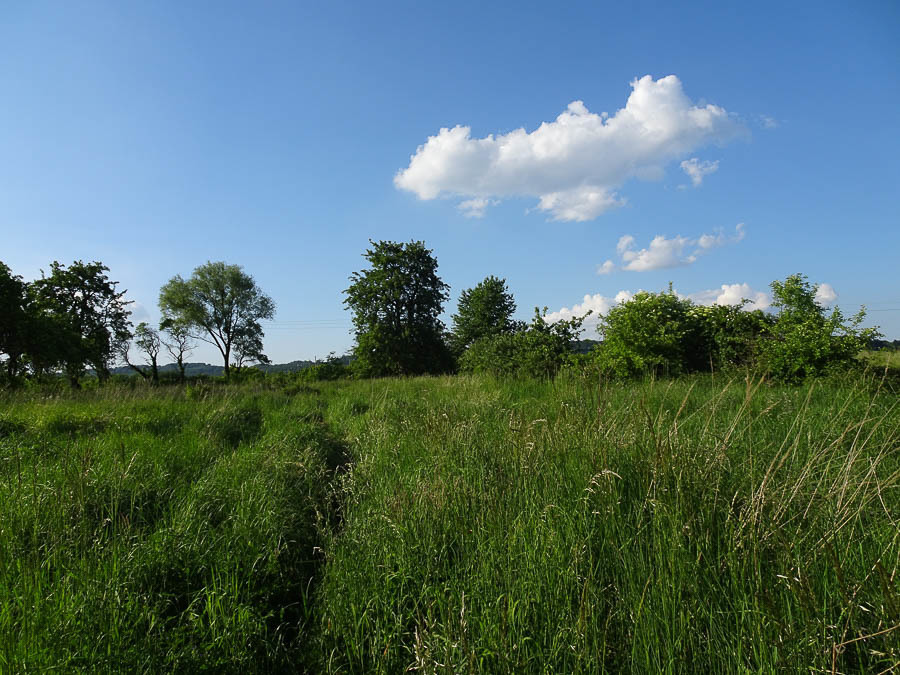 Binowo działka blisko jeziora, 1962 m2, MPZP (3)