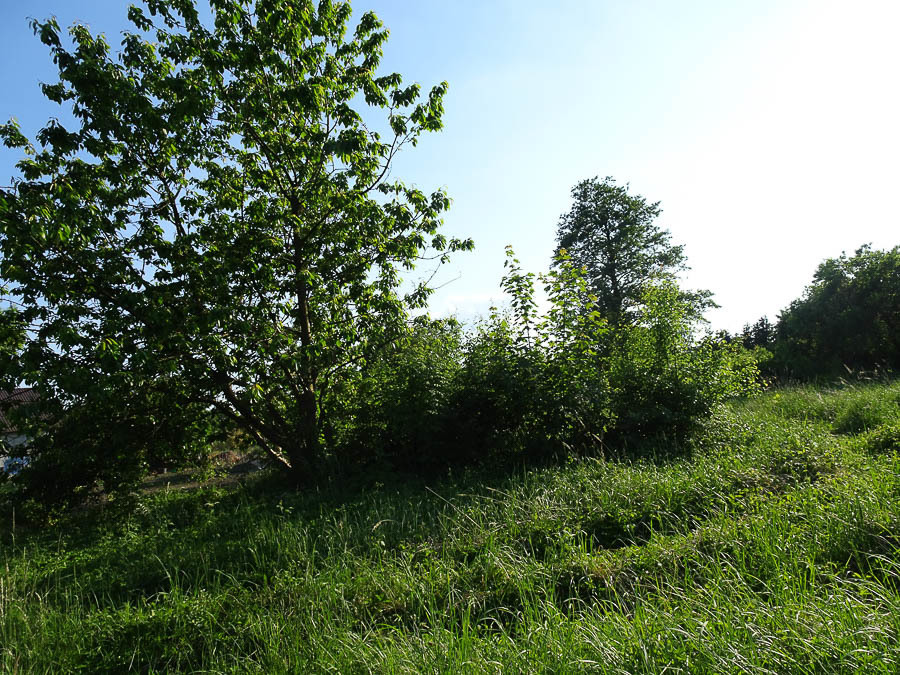Binowo działka blisko jeziora, 1962 m2, MPZP (4)