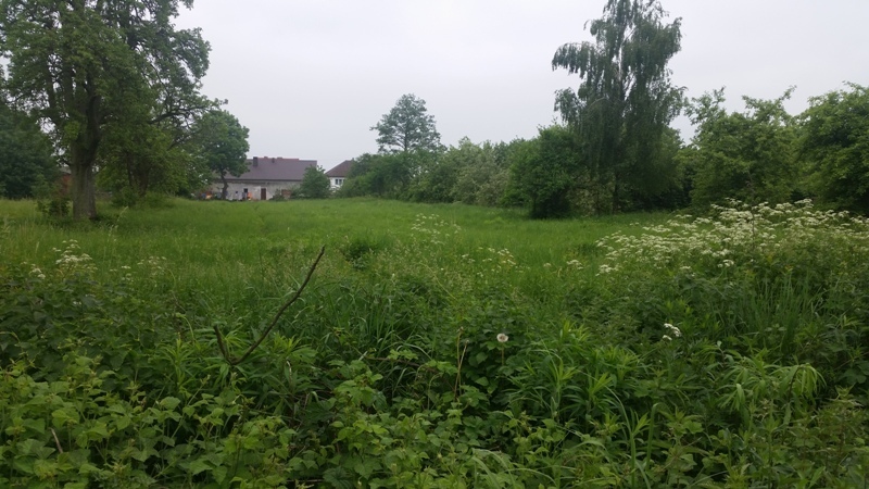 Binowo działka blisko jeziora, 1962 m2, MPZP (5)