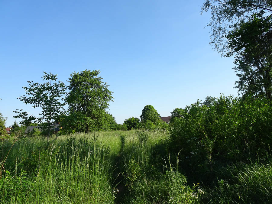 Binowo działka blisko jeziora, 1962 m2, MPZP (6)