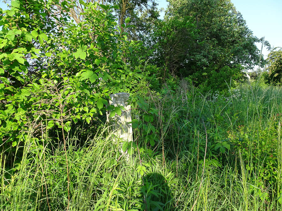 Binowo działka blisko jeziora, 1962 m2, MPZP (7)