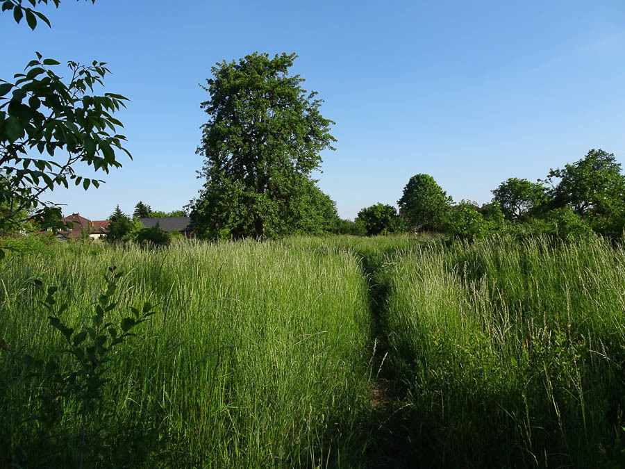 Binowo działka blisko jeziora, 1962 m2, MPZP (8)
