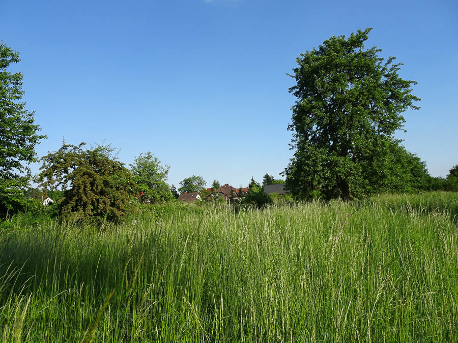 Binowo działka blisko jeziora, 1962 m2, MPZP (9)