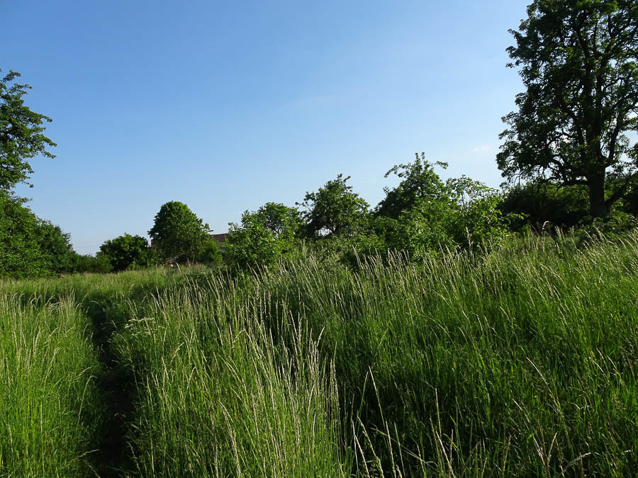 Binowo działka blisko jeziora, 1962 m2, MPZP (10)