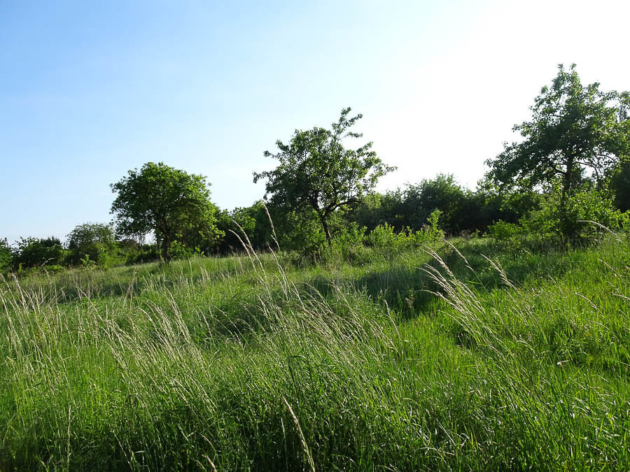 Binowo działka blisko jeziora, 1962 m2, MPZP (12)