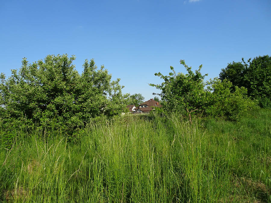Binowo działka blisko jeziora, 1962 m2, MPZP (13)