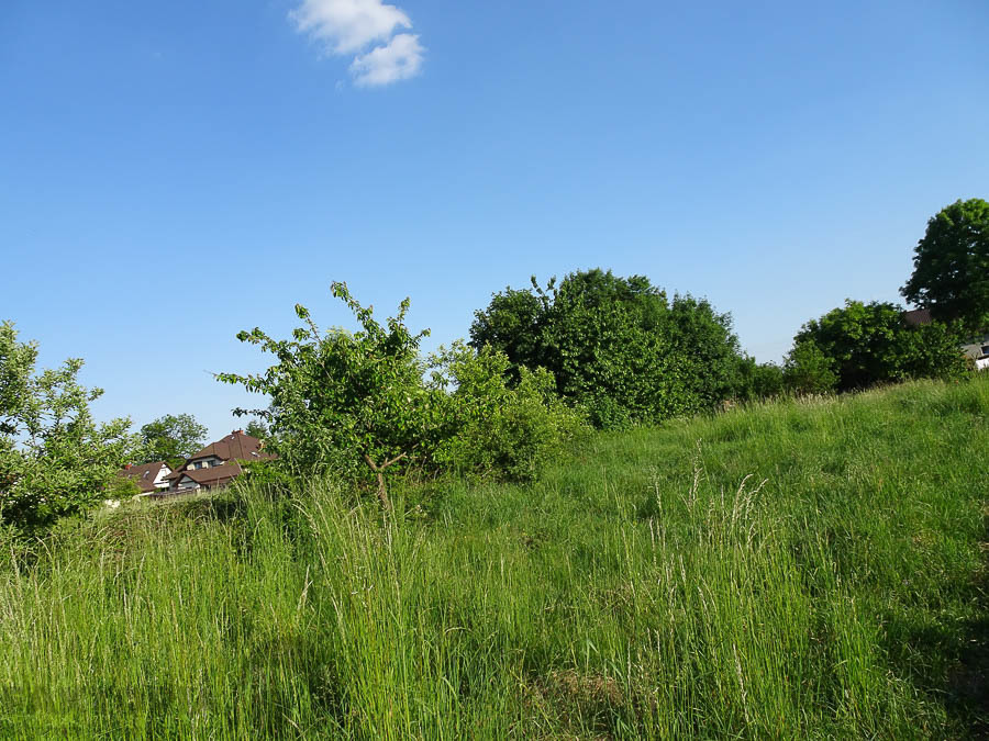 Binowo działka blisko jeziora, 1962 m2, MPZP (14)