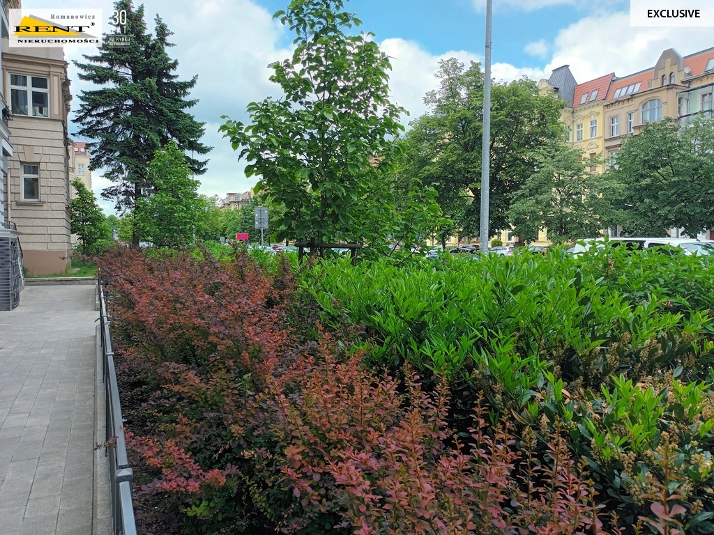 Kawalerka w topowej lokalizacji, niskie koszty (7)