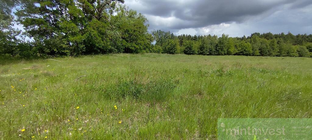 Atrakcyjna inwestycyjna działka pod lasem (5)
