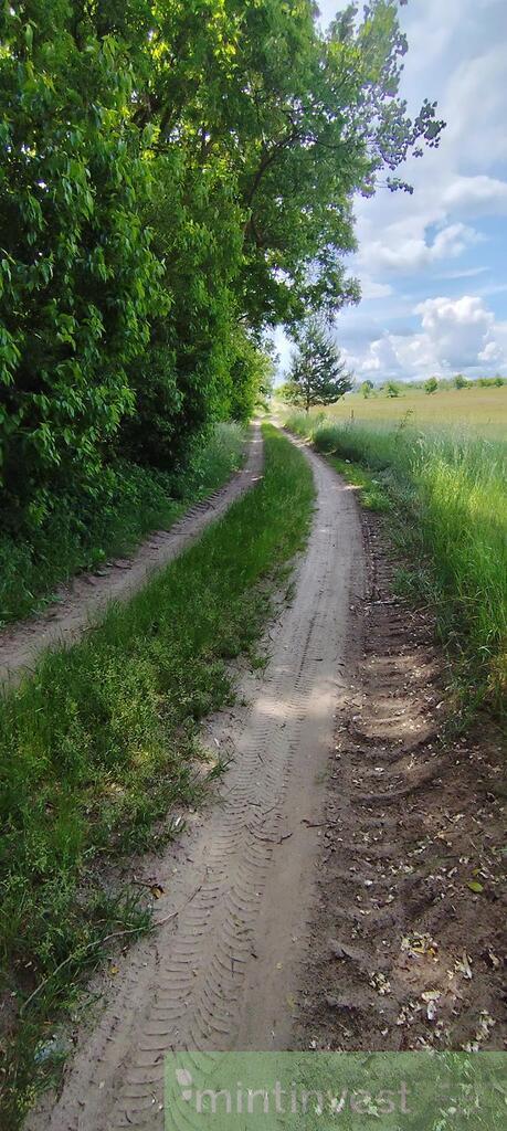 Atrakcyjna inwestycyjna działka pod lasem (10)