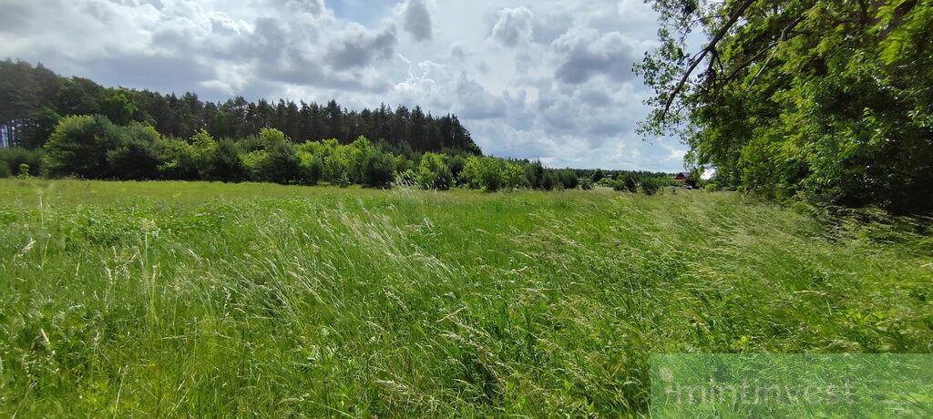 Atrakcyjna inwestycyjna działka pod lasem (3)