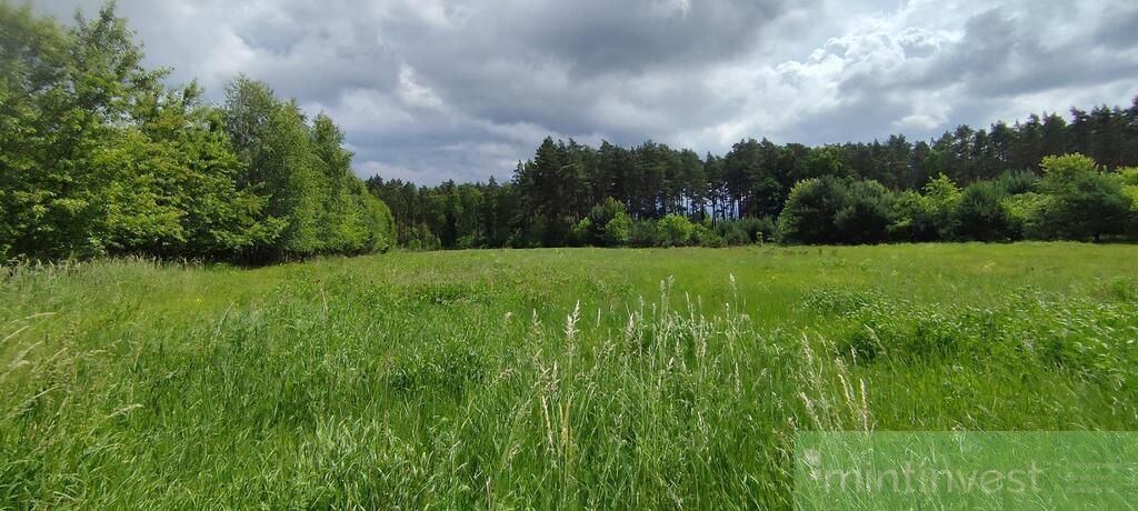 Atrakcyjna inwestycyjna działka pod lasem (9)