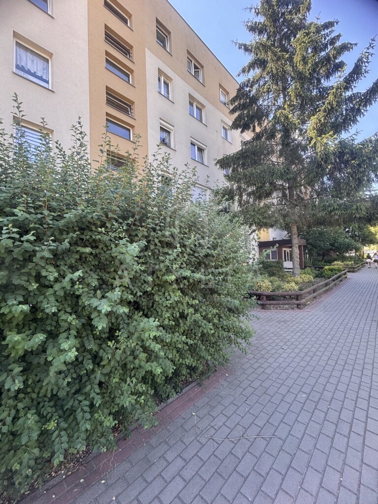 4 pokoje z balkonem - Szczecin Zachód (16)