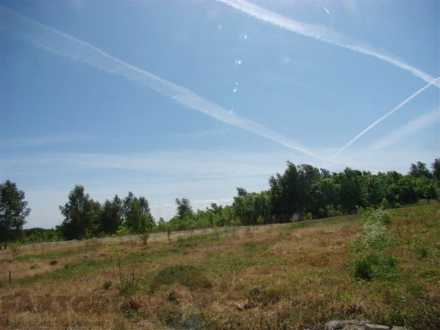 Stara Dąbrowa działka  m2 65 zł/m2 (4)