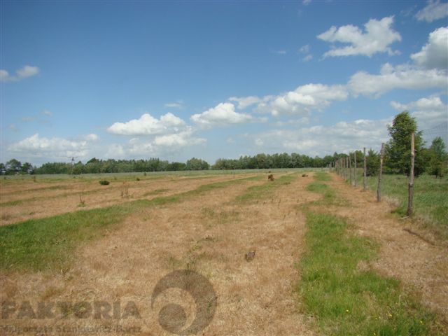 Stara Dąbrowa działka  m2 65 zł/m2 (6)