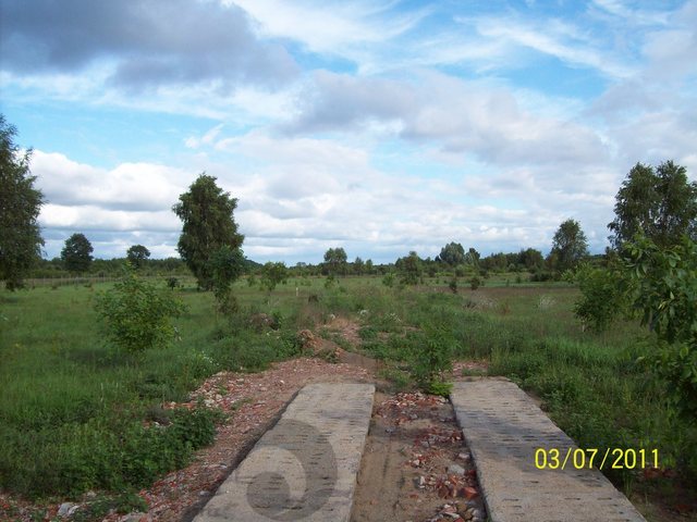 Stara Dąbrowa działka  m2 65 zł/m2 (20)