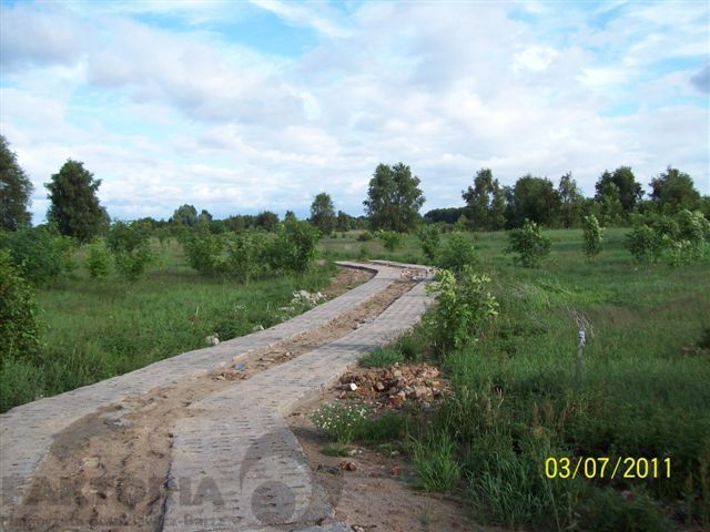 Stara Dąbrowa działka  m2 65 zł/m2 (16)