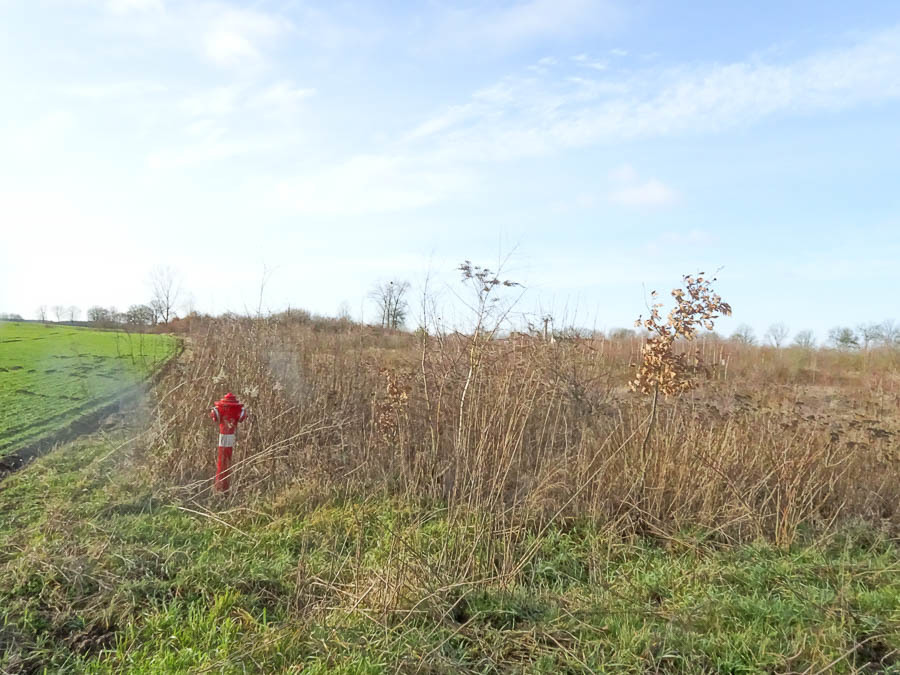 Stara Dąbrowa działka  m2 65 zł/m2 (17)