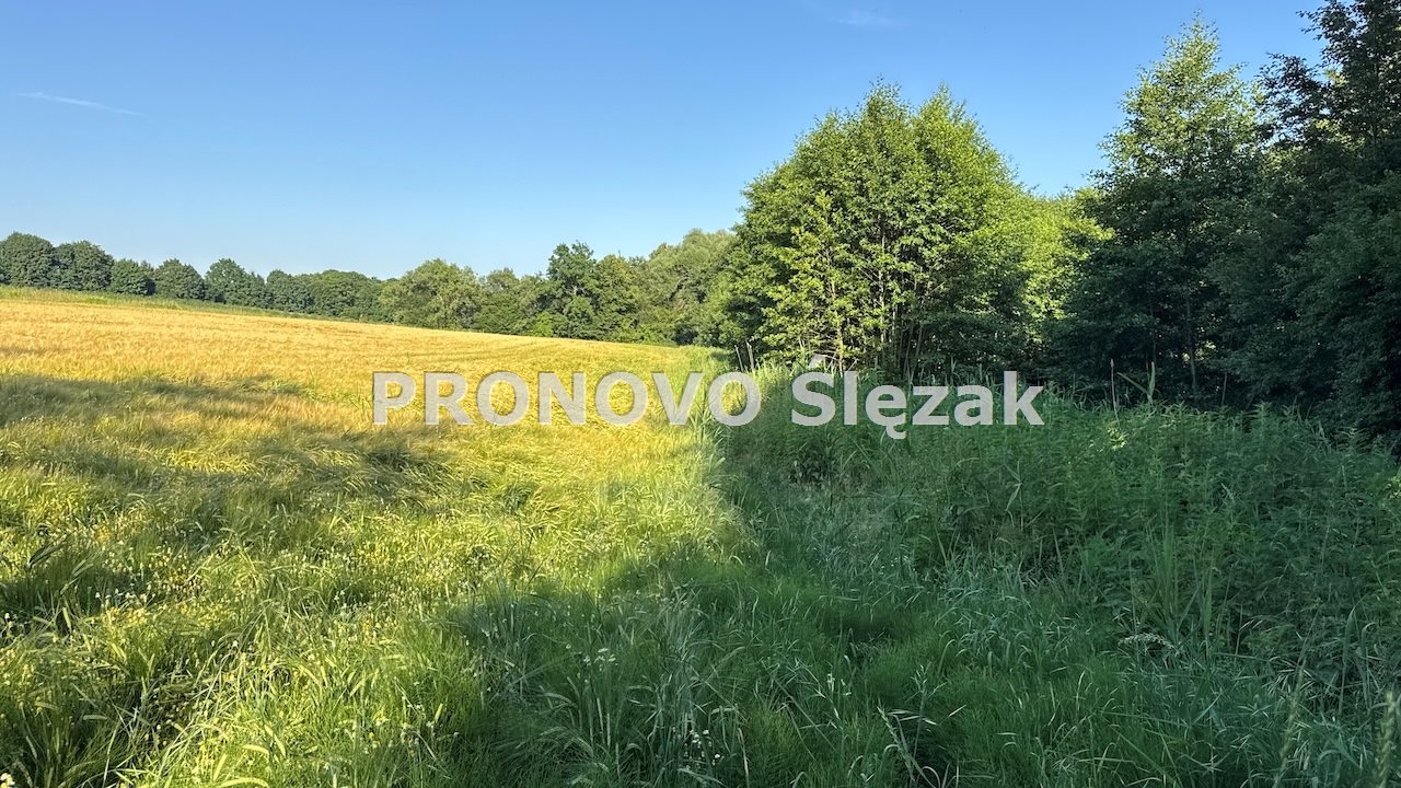 Działka siedliskowa 37a możliwość zabudowy  (1)