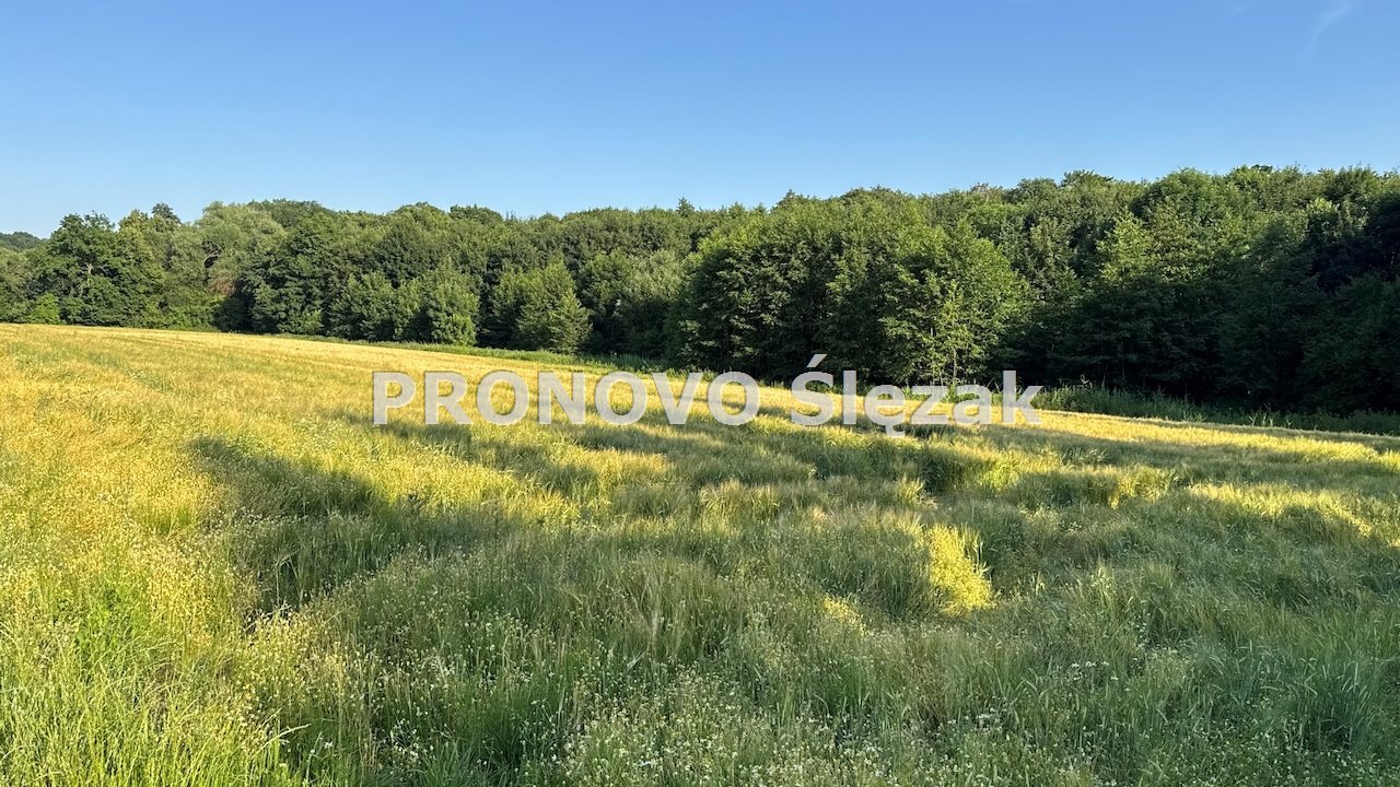 Działka siedliskowa 37a możliwość zabudowy  (2)