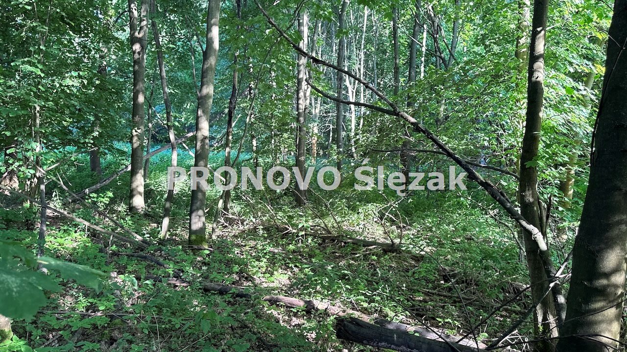 Działka siedliskowa 37a możliwość zabudowy  (3)