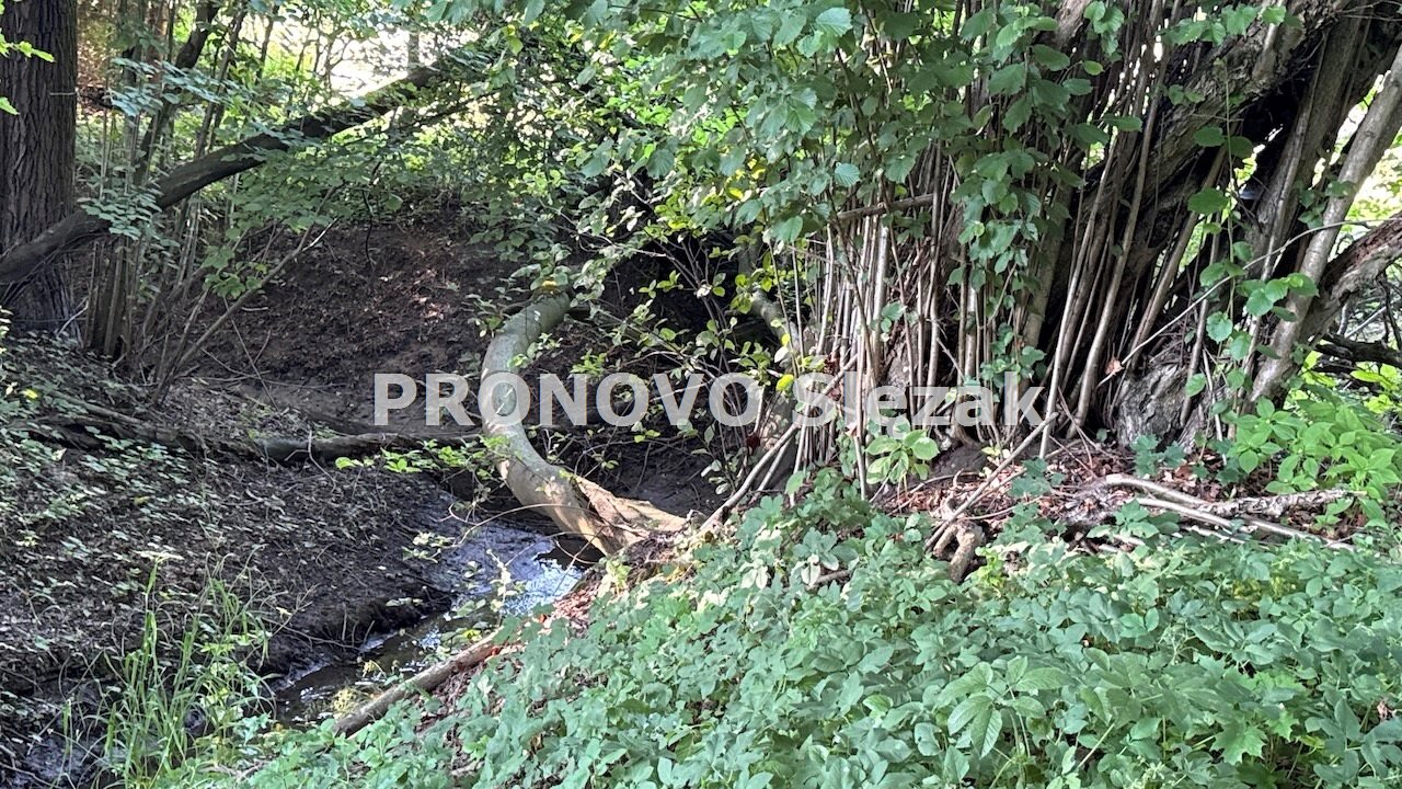 Działka siedliskowa 37a możliwość zabudowy  (4)