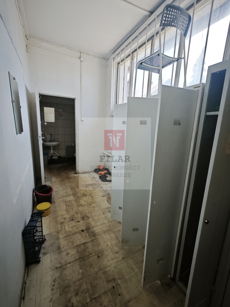 Hala magazynowo-usługowa na wynajem - 250m2 (9)