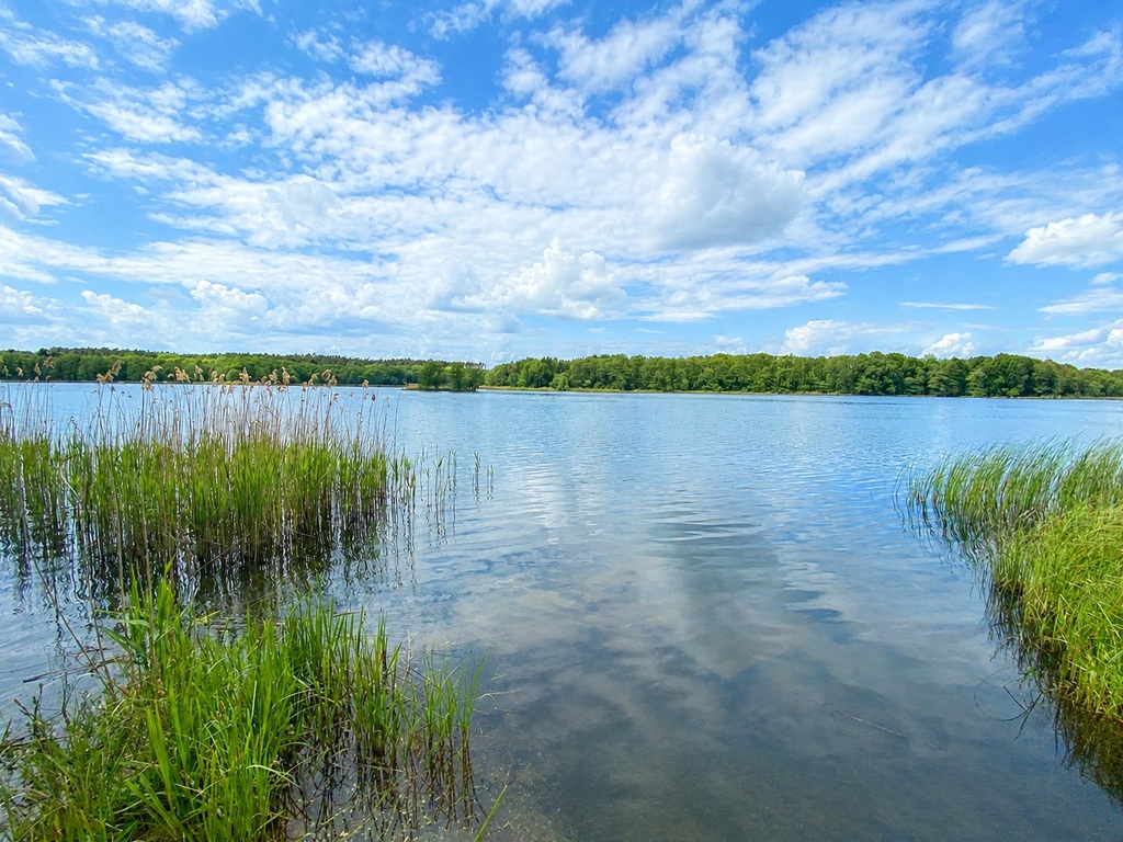Dom przy lesie i nad jeziorem (2)