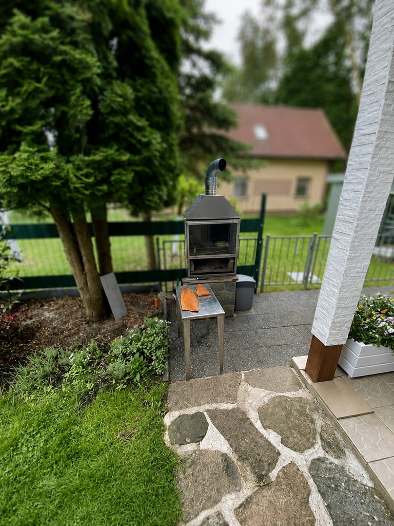 Dom przy lesie i nad jeziorem (30)