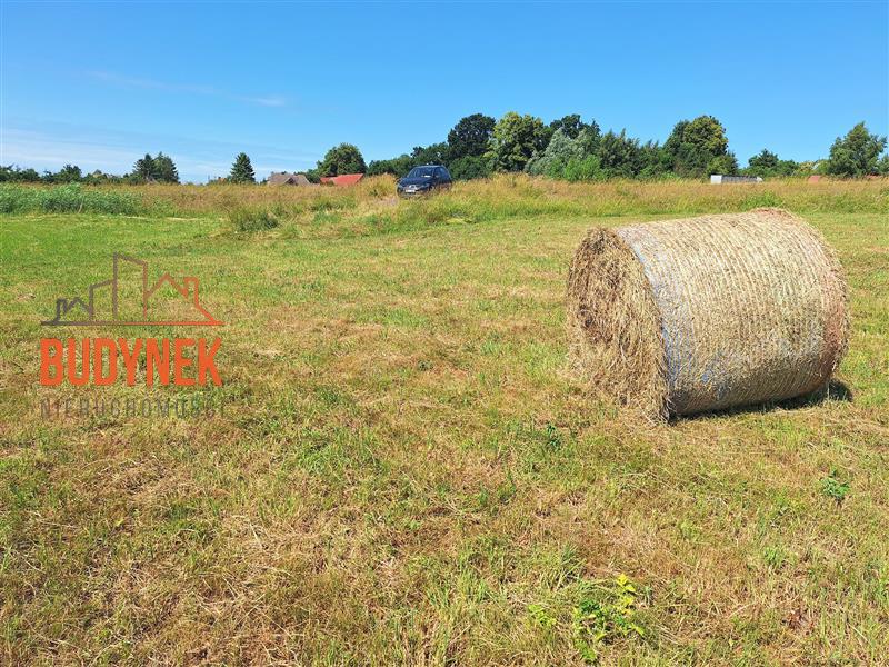 Działka rolna - Krupy  (12)