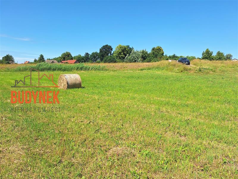 Działka rolna - Krupy  (13)
