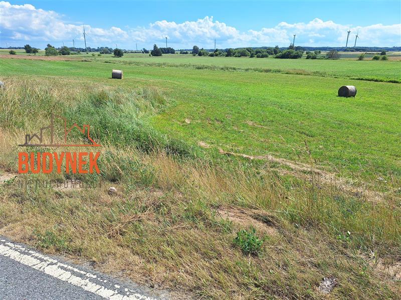 Działka rolna - Krupy  (6)
