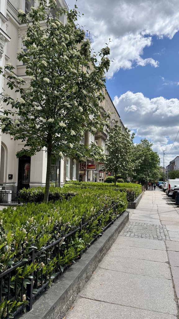 Na sprzedaż 3 pokoje z widokiem na Plac Odrodzenia (1)