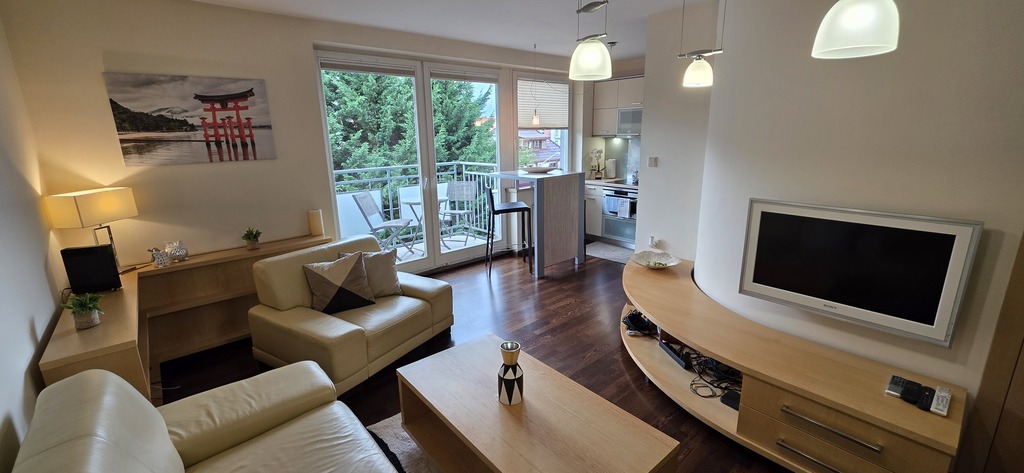 Apartament przy Jasnych Błoniach (1)