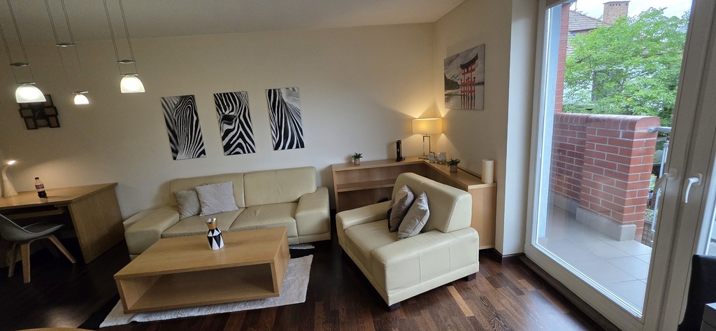 Apartament przy Jasnych Błoniach (3)