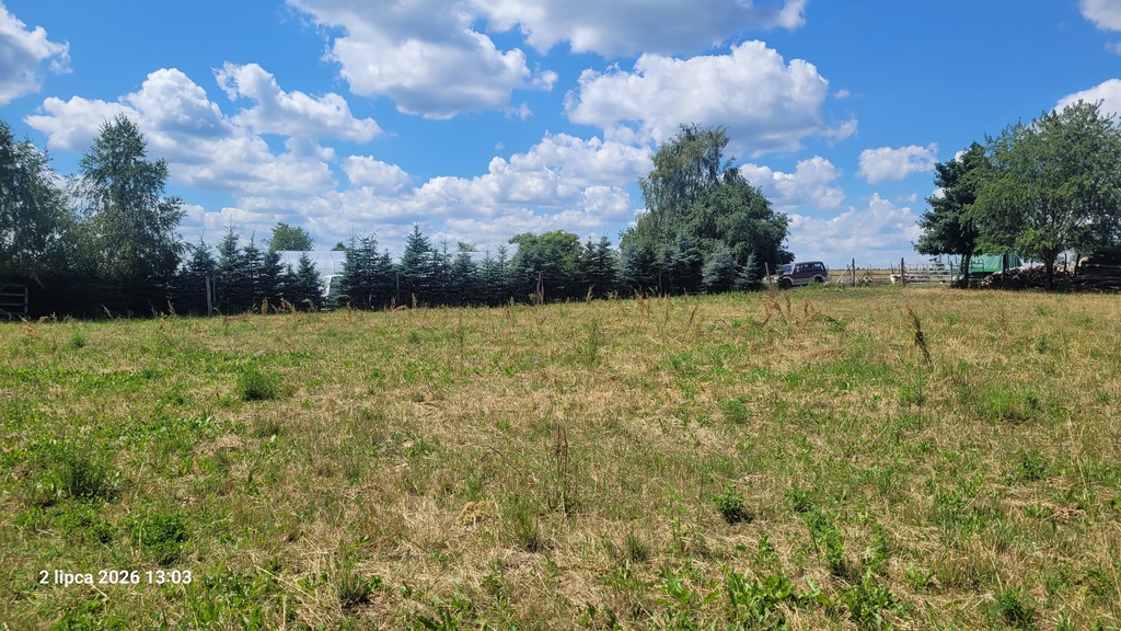 Siedliskowa, 7,800 m2, Wiśniewo  (3)