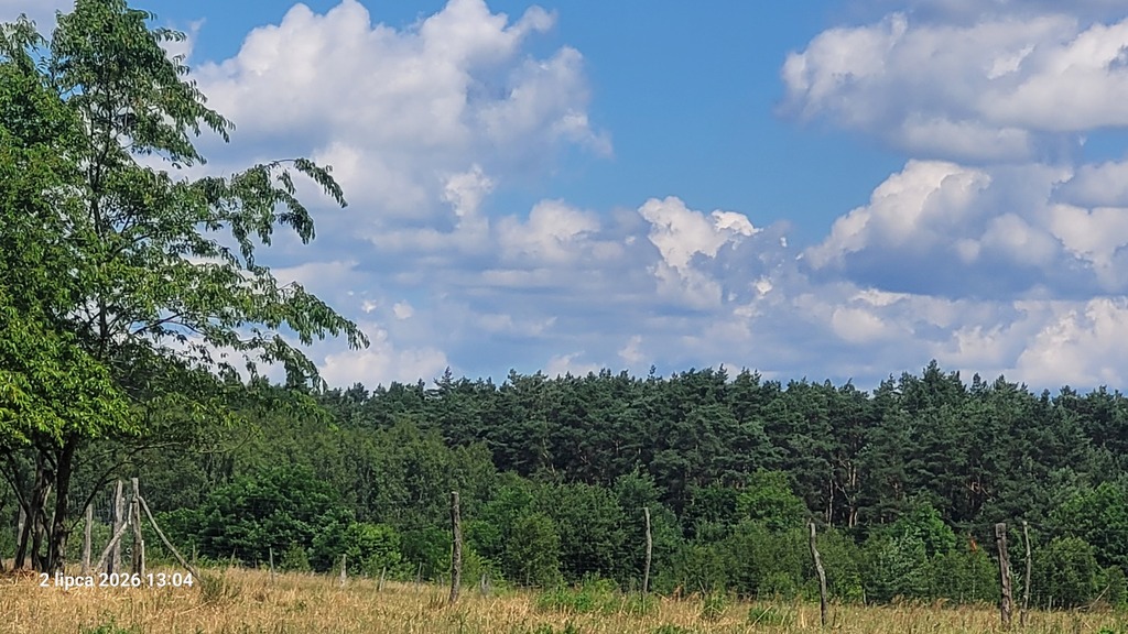 Siedliskowa, 7,800 m2, Wiśniewo  (1)