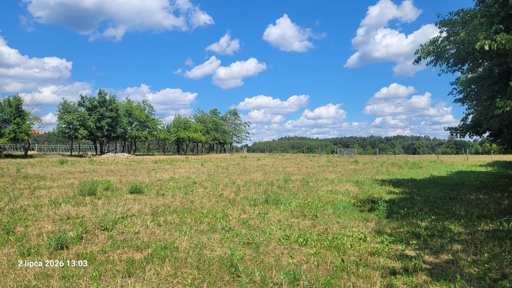 Siedliskowa, 7,800 m2, Wiśniewo  (4)