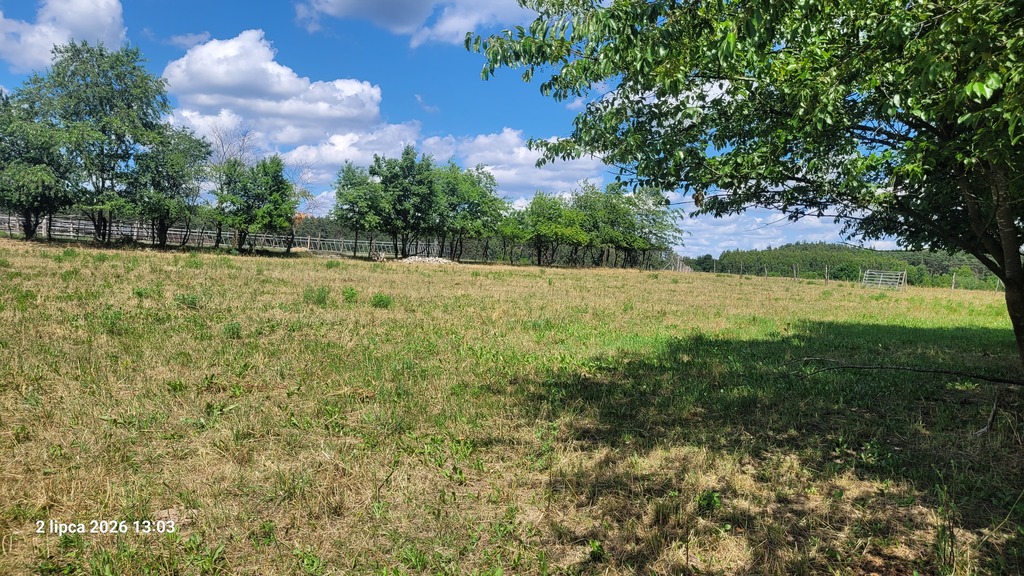 Siedliskowa, 7,800 m2, Wiśniewo  (5)
