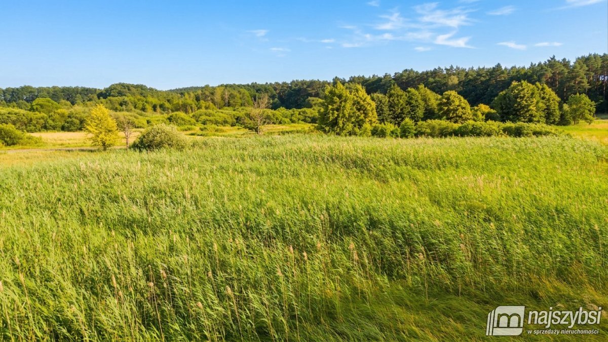 Zabierzewo- działka budowlana 3000 m2 z WZ (7)