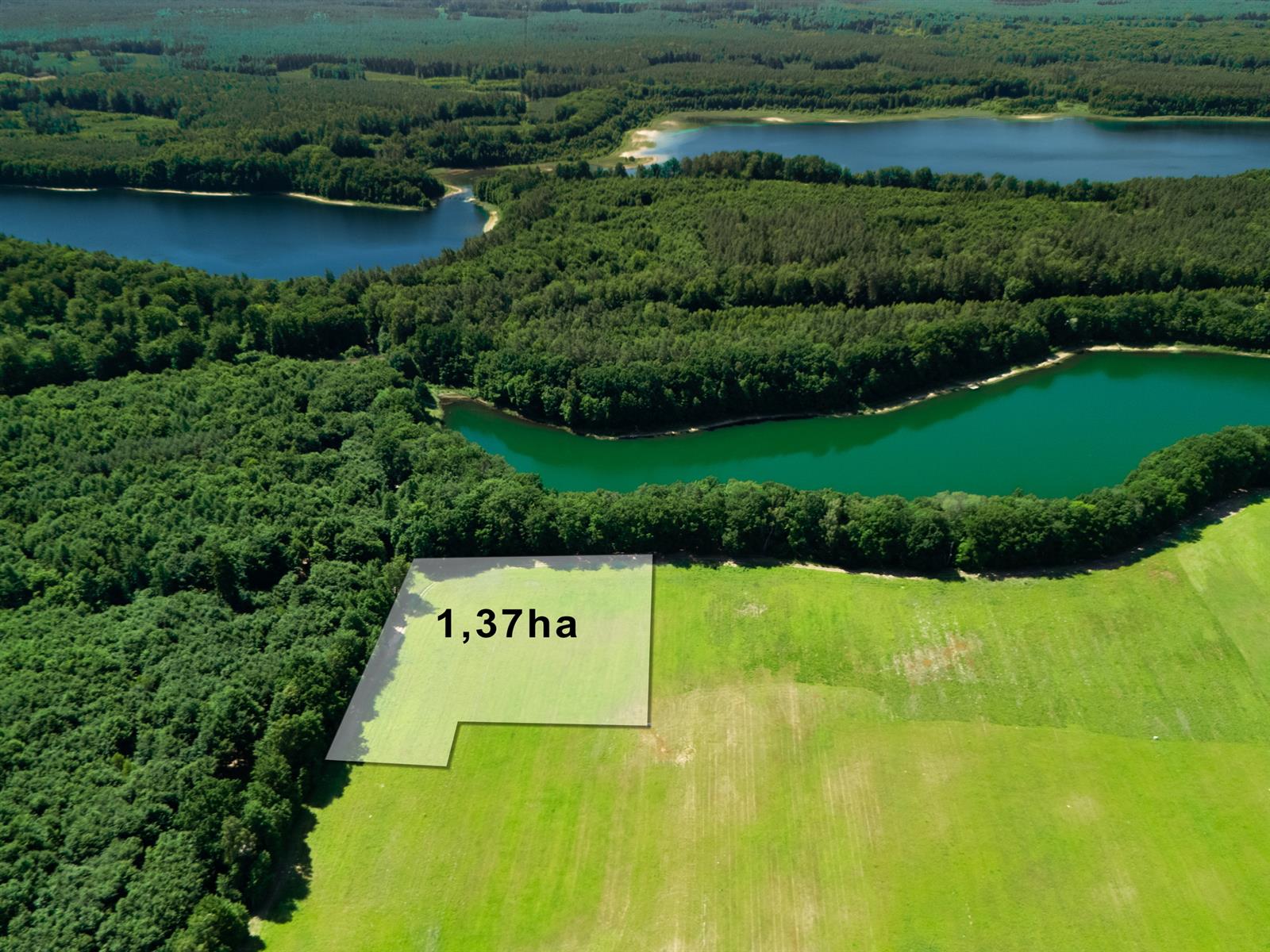 Działka siedliskowa - Żelisławie  (1)