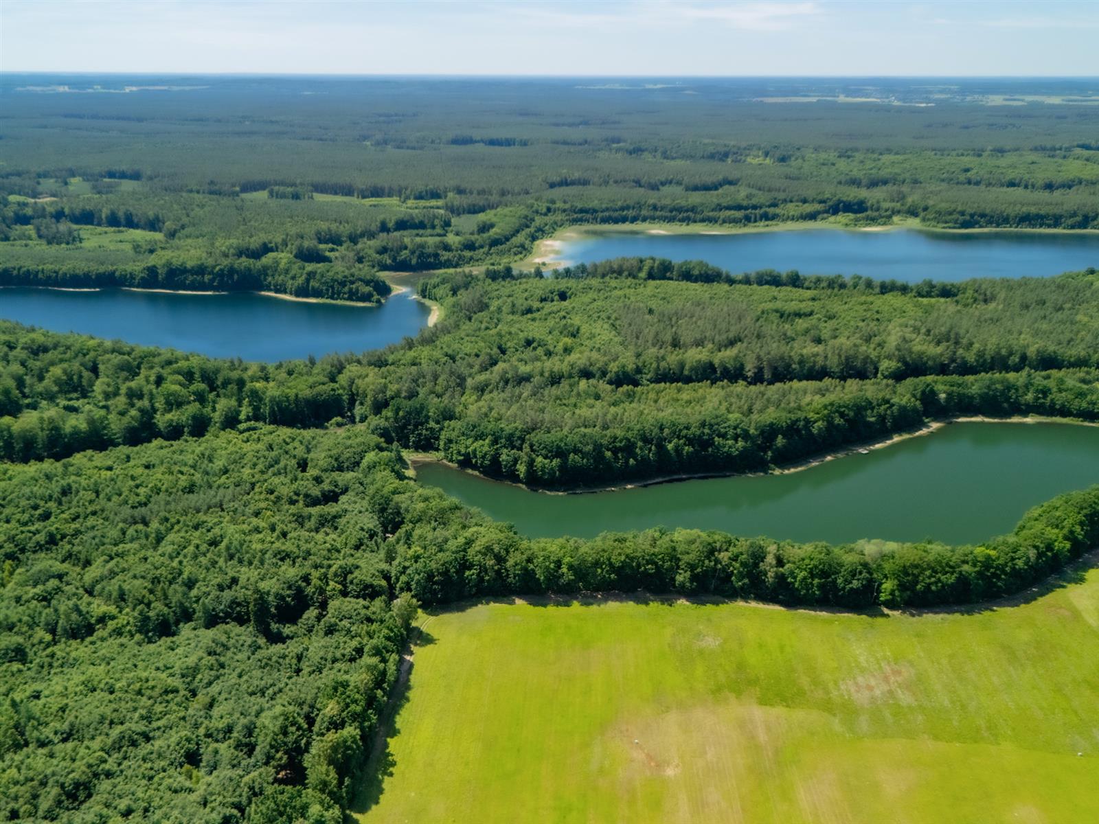 Działka siedliskowa - Żelisławie  (8)