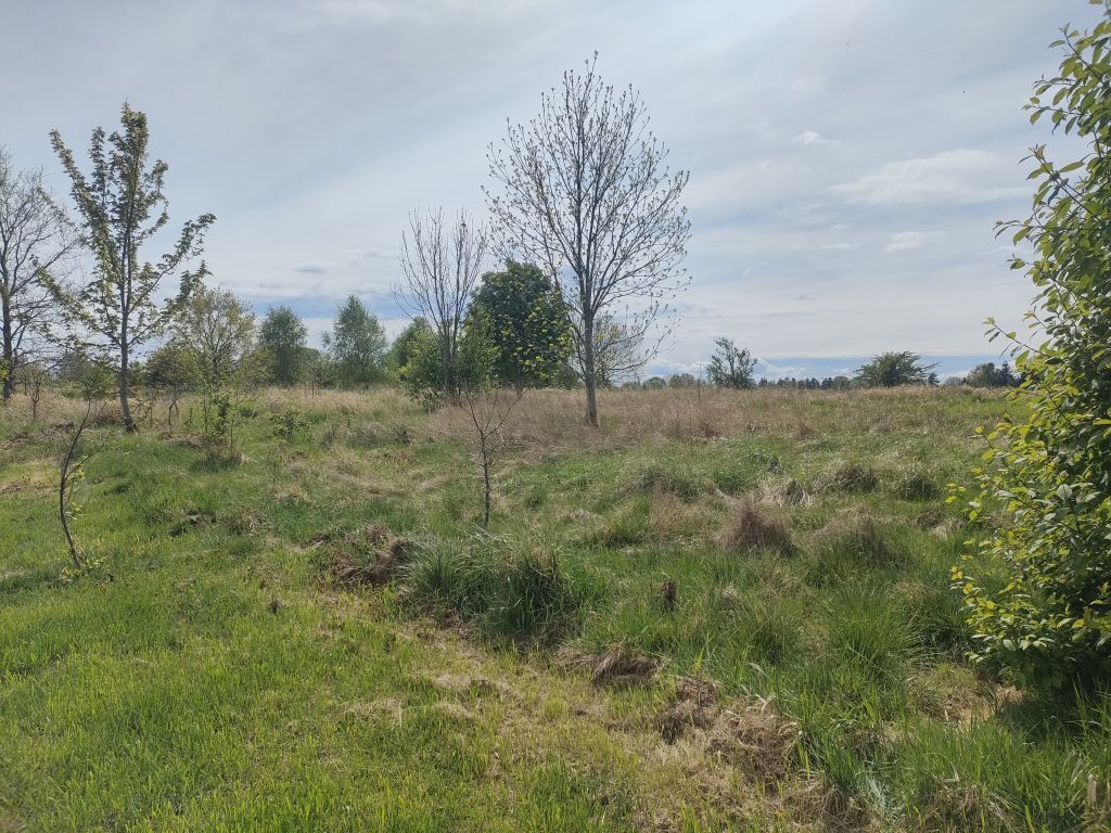 Lędzin działka budowlana na sprzedaż 1394m2 (5)